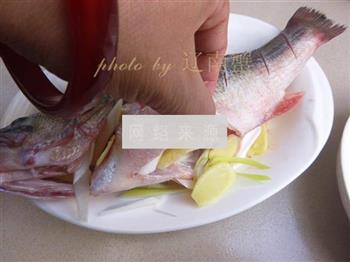 姜香鲈鱼的做法步骤6