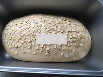 黑麦燕麦面包的做法图解18