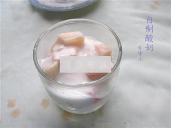 自制桑葚酸奶的做法步骤10