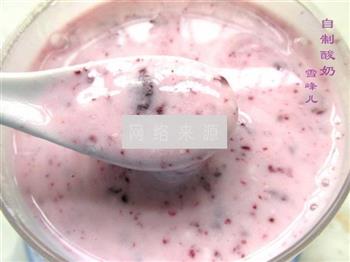 自制桑葚酸奶的做法步骤9