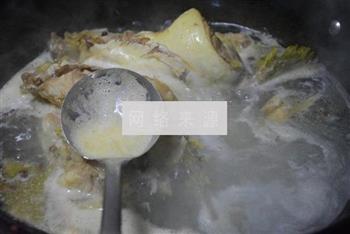 鱼头豆腐汤家常做法的做法步骤4
