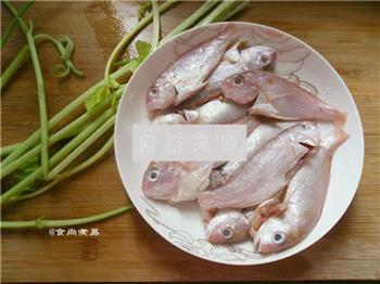 金线鱼浓汤的做法步骤1
