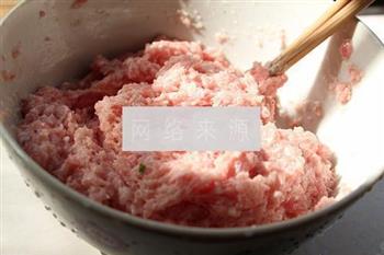 茴香猪肉饺的做法步骤2