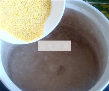 小米红枣养生粥的做法步骤3