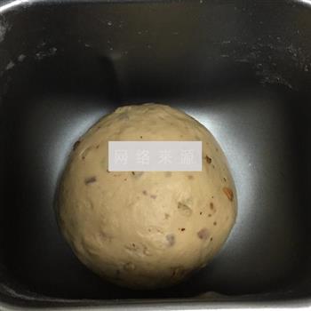 红枣核桃面包的做法步骤2