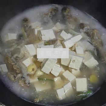 奶白鲫鱼豆腐汤的做法图解7