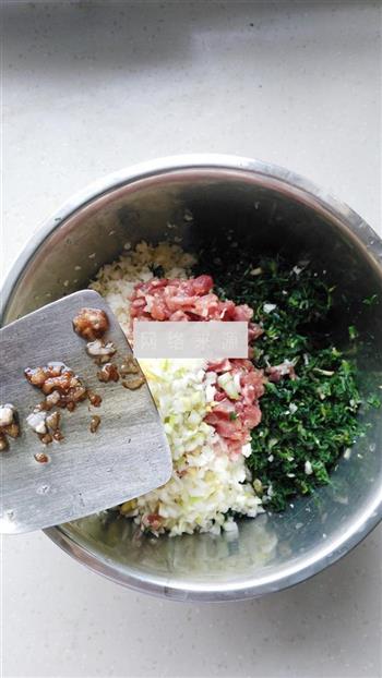 荠菜白菜猪肉水饺的做法步骤6