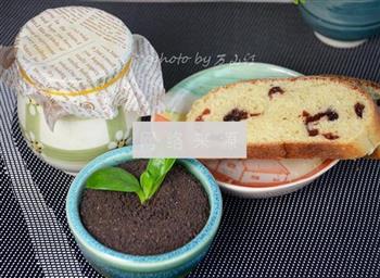 瓷罐酸奶盆栽的做法步骤12