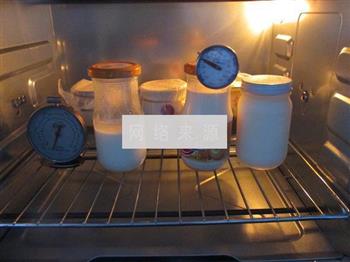 瓷罐酸奶盆栽的做法步骤8
