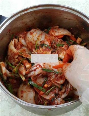 韩式泡菜的做法步骤10