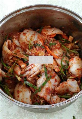 韩式泡菜的做法步骤9