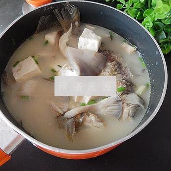 平菇豆腐鱼汤的做法步骤7