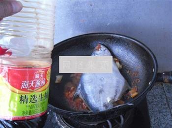 郫县豆瓣鱼的做法步骤9