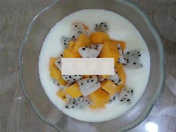水果蜂蜜酸奶的做法步骤4