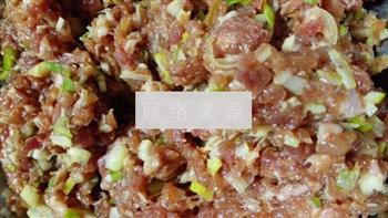 大葱猪肉饺子的做法图解4
