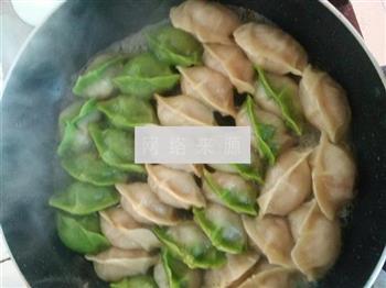 白菜猪肉煎饺的做法步骤5