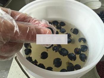 蓝莓枸杞胡萝卜酵素的做法步骤6
