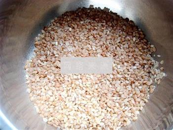 红糙米南瓜养生粥的做法步骤2