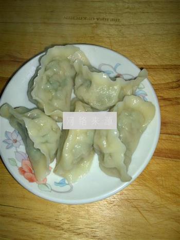 韭菜猪肉水饺的做法步骤13