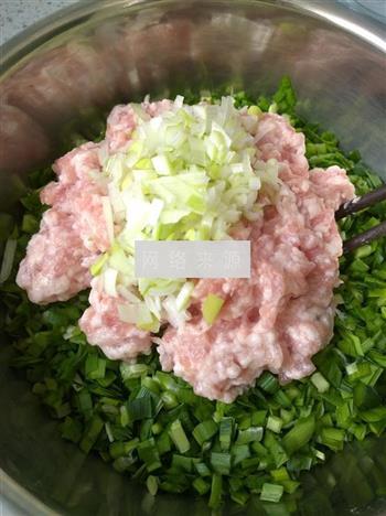 韭菜猪肉水饺的做法步骤6
