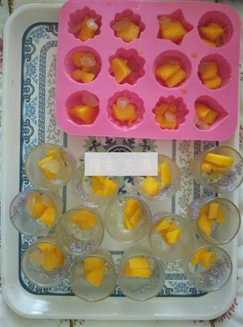 水果果冻的做法步骤3