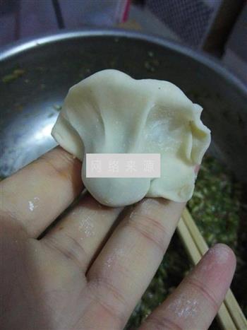 小茴香包饺子的做法步骤9