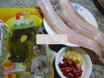 酸菜煮玉秃鱼的做法图解1