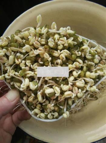 爆炒绿豆芽的做法步骤1