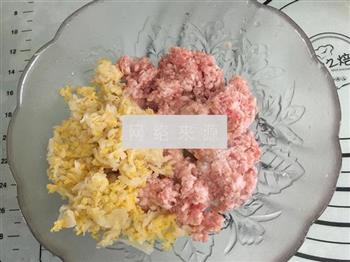 酸菜猪肉煎饺的做法步骤3