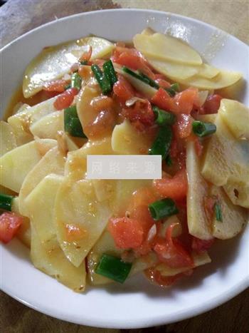 西红柿酸辣土豆片的做法步骤5