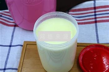 盆栽酸奶的做法步骤7