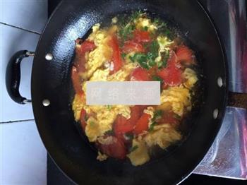 番茄鸡蛋汤的做法图解6