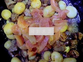 番茄土豆烩牛肉的做法图解9