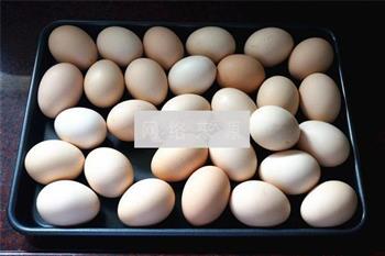 自制出油咸鸡蛋的做法步骤1