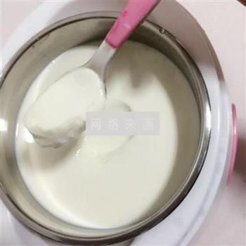 自制美味酸奶的做法图解13