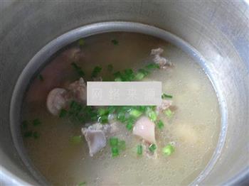 白芸豆猪蹄汤的做法步骤11