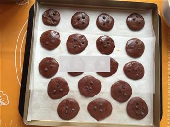 巧克力可可饼干的做法步骤7
