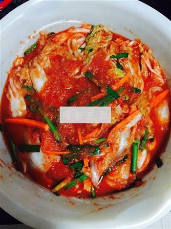 韩式辣白菜的做法图解9