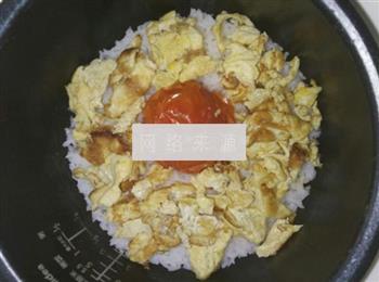 西红柿鸡蛋饭的做法步骤5