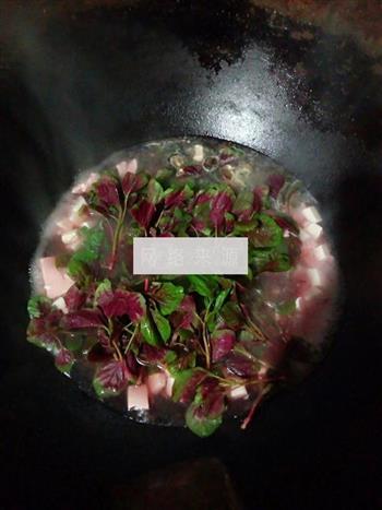 红觅菜煮豆腐汤的做法图解3