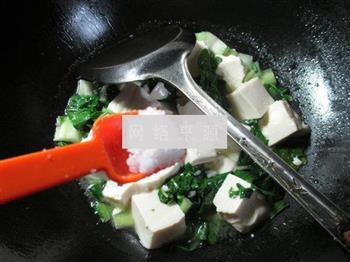 君叠菜煮豆腐的做法图解6