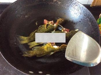 西红柿黄骨鱼汤的做法步骤2
