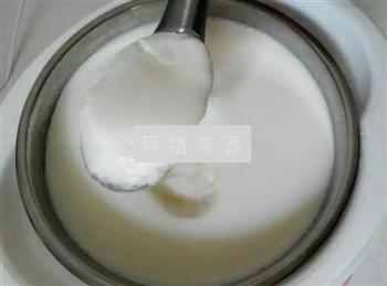 自制川秀菌酸奶的做法图解6