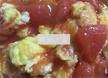 西红柿炒蛋的做法图解11