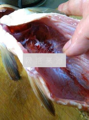 蒜蓉豆鼓蒸鲤鱼的做法步骤3