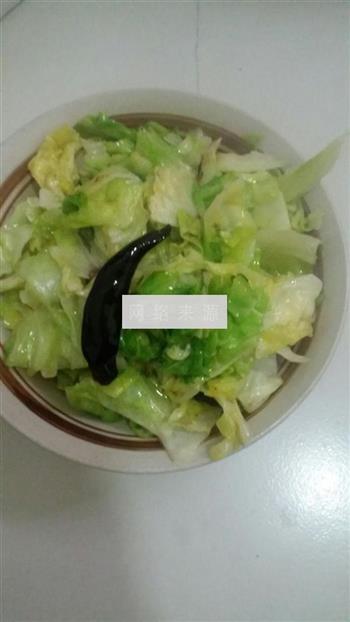 辣炒洋白菜的做法步骤4