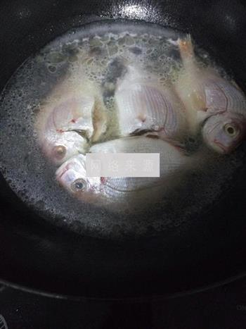 野生小赤棕鱼汤的做法步骤2