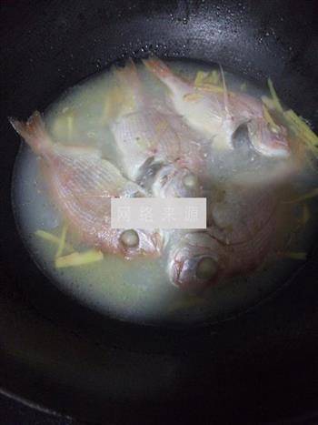 野生小赤棕鱼汤的做法步骤3