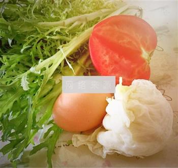 减肥沙拉的做法步骤1
