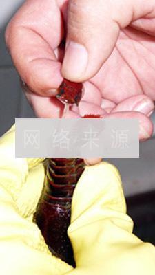 正宗潜江油焖大虾的做法图解3